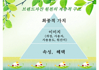브랜드자산관리(상표관리, 브랜드관리)의 정의, 의의, 브랜드자산관리(상표관리, 브랜드관리)의 과정, 항목, 브랜드자산관리(상표관리, 브랜드관리)의 유의사항, 사례, 브랜드자산관리(상표관리, 브랜드관리) 전략-7