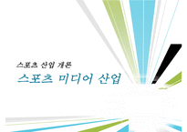 스포츠 미디어산업,스포츠 미디어 산업의 현황과 문제점 및 발전방향-1