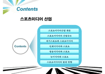 스포츠 미디어산업,스포츠 미디어 산업의 현황과 문제점 및 발전방향-2