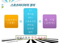 스포츠 미디어산업,스포츠 미디어 산업의 현황과 문제점 및 발전방향-5