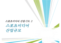스포츠 미디어산업,스포츠 미디어 산업의 현황과 문제점 및 발전방향-13