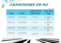 스포츠 미디어산업,스포츠 미디어 산업의 현황과 문제점 및 발전방향-18