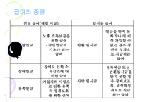 우리나라_국민연금제도의_현황과_문제점_(국민연금제도_개념__국민연금제도_의의__국-10