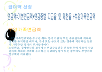 우리나라_국민연금제도의_현황과_문제점_(국민연금제도_개념__국민연금제도_의의__국-13