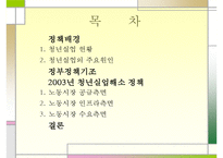 (실업문제) 청년실업의 실태와 문제점 및 고용안정화 정책의 실업대책-3