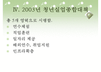 (실업문제) 청년실업의 실태와 문제점 및 고용안정화 정책의 실업대책-14