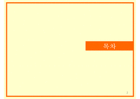 [기러기가족] 기러기 가족의 현황과 문제점 및 나아갈 방향-2