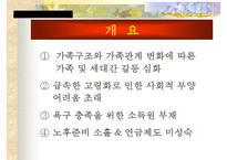[노인, 노인취업, 노인소득보장, 노인소득보장제도, 노인복지]노인의 개념, 노인의 취업현황, 노인소득보장제도의 필요성, 노인소득보장제도의 문제점, 노인취업정책과 노인취업프로그램, 향후 제언 고찰-2