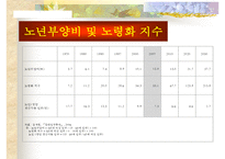[노인, 노인취업, 노인소득보장, 노인소득보장제도, 노인복지]노인의 개념, 노인의 취업현황, 노인소득보장제도의 필요성, 노인소득보장제도의 문제점, 노인취업정책과 노인취업프로그램, 향후 제언 고찰-11