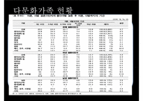 [다문화가족] 다문화가족의 정의, 다문화가족의 현황, 다문화가족관련 정책-7