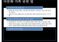 [다문화가족] 다문화가족의 정의, 다문화가족의 현황, 다문화가족관련 정책-11