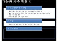 [다문화가족] 다문화가족의 정의, 다문화가족의 현황, 다문화가족관련 정책-12