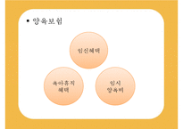 [선진국의 유아교육] 스웨덴 육아정책 개관 및 동향과 유아교육, 보육 방안-4