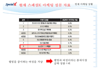 [성공전략 분석] 스페셜K의 성공전략의 특징, 마케팅 성공 방법 및 향후 전망과 마케팅 기대 효과-12