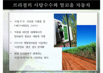 중남미의 노동현실과 노동법, 해결책으로써 공정무역 [A+ 평가 레포트]-5