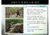 중남미의 노동현실과 노동법, 해결책으로써 공정무역 [A+ 평가 레포트]-6