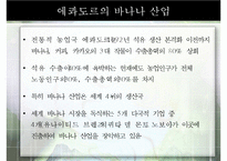 중남미의 노동현실과 노동법, 해결책으로써 공정무역 [A+ 평가 레포트]-12