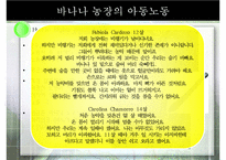 중남미의 노동현실과 노동법, 해결책으로써 공정무역 [A+ 평가 레포트]-13