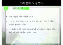 중남미의 노동현실과 노동법, 해결책으로써 공정무역 [A+ 평가 레포트]-18