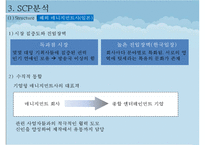 한류 아이돌 스타 산업의 현황과 SWOT, SCP, 사례 및 향후 전망-18