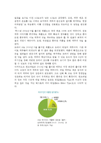 [하이트진로 마케팅분석 보고서] 하이트진로 기업분석과 성공요인/하이트진로 마케팅 SWOT,STP,4P전략분석/하이트진로 향후마케팅전략 제안-4