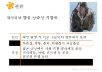 여성실습 난소낭종 케이스 PPT 발표자료-14