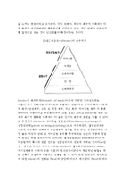 [인본주의이론] 인본주의적 이론 - 로저스(Rogers)의 자기이론, 매슬로우(Maslow)의 자아실현이론(욕구위계)-3