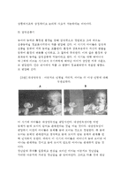 [인지발달] 피아제(Piaget)의 인지발달이론(인지발달,감각운동기,전조작기,구체적조작기,형식적조작기), 피아제 인지발달이론의 평가-4