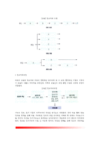 [정보처리이론] 정보처리과정, 피아제이론과 정보처리이론의 비교, 기억능력의 발달, 상위기억과 지식의 역할, 정보처리이론과 아동발달-3