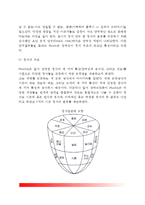 [정서이론] Plutchik의 심리진화론적 이론(Plutchik의 정서이론)-6