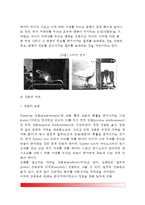 [조작적 조건형성이론] 조작적 조건형성(조작적 조건화) - 손다이크의 시행착오학습, 스키너의 실험(손다이크의 문제상자와 스키너상자), 강화와 처벌, 조작적 조건형성의 응용-5