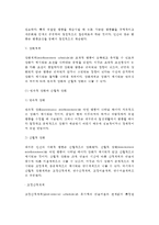 [조작적 조건화] 조작적 조건형성이론(도구적 조건화) - 조작적 조건형성의 원리, 강화계획, 행동수정, 인간행동에 대한 관점, 스키너(Skinner) 이론의 평가-9