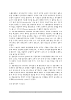 [중세시대교육사상] 중세교육의 역사(중세의 교육철학)-3