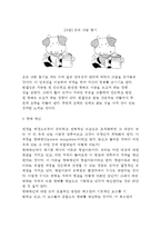 [지각과정] 인간의 지각과정(형태지각, 깊이지각, 운동지각)-5