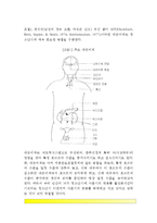 [청소년기의 생물학적 변화] 사춘기의 개념정의, 청소년기 신체발달(신체구조변화), 사춘기의 시작시기와 유전적 및 환경적 영향-4