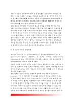[청소년리더쉽] 청소년의 리더십 발달단계, 청소년리더십의 구성요소, 청소년지도 리더십론, 청소년의 부정적 리더십-6