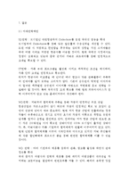 진에어 기업분석과 SWOT분석, 진에어 마케팅전략, 진에어 미래전략제안과 느낀점-15