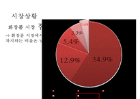 미샤 MISSHA 브랜드분석과 성공요인분석및 미샤 마케팅 사례분석과 미샤 마케팅 개선방안제안 PPT-13