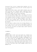 페이스북 기업분석과 성공요인, 페이스북 마케팅 SWOT,STP,4P전략분석, 페이스북 향후전망과 전략제안-5