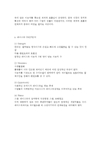 페이스북 기업분석과 성공요인, 페이스북 마케팅 SWOT,STP,4P전략분석, 페이스북 향후전망과 전략제안-12