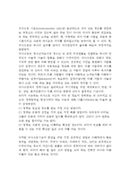 [청소년지도리더십] 청소년지도사(청소년지도자)의 리더십(리더쉽) 기술-4