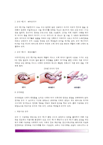 [출산] 분만단계(출산과정), 분만방법(출산방법), 조산아와 저체중아-3