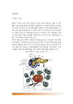 [췌장질환] 췌장질환(췌장염)의 종류 - 급성췌장염 및 만성췌장염의 원인과 증상 및 치료 식사요법(식이요법)-2