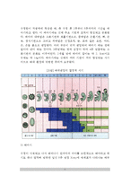 [태내발달] 인간생명의 시작, 태아의 발달단계(태아발달)-5