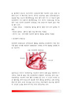 [허혈성 심질환] 협심증 및 심근경색의 원인과 증상 및 치료방법(식사요법-식이요법, 약물요법, 수술요법), 허혈성 심질환의 예방방법-8