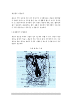 [화상환자 영양관리] 화상환자의 영양관리 및 식사요법(식이요법)-2