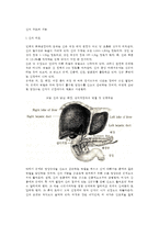 간의 구조와 기능(간의 기능과 역할)-2