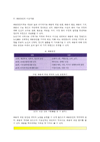 노인미술치료 - 죽음의 수용과 미술치료(노인의 죽음인식과 태도, 죽음에 대한 심리적 반응, 노년기 죽음불안과 미술치료)-5