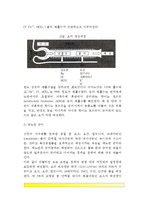 신장의 구조와 기능-5