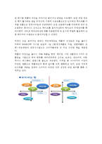 파리바게트 마케팅전략 연구 :(파리바게트 기업분석,성공요인/ 파리바게트 마케팅 4P,STP,SWOT분석/ 파리바게트 향후개선방안,매장방문후기)-12